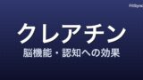 クレアチンと脳機能 ― 2024-2026 年研究が示す「認知への効果と評価の分かれ目」