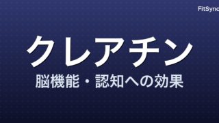 クレアチンと脳機能 ― 2024-2026 年研究が示す「認知への効果と評価の分かれ目」