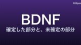 BDNF と運動による認知機能向上 ― 「脳が若返る」言説を 2024-2025 メタ解析で再検証