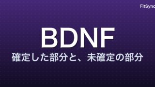 BDNF と運動による認知機能向上 ― 「脳が若返る」言説を 2024-2025 メタ解析で再検証
